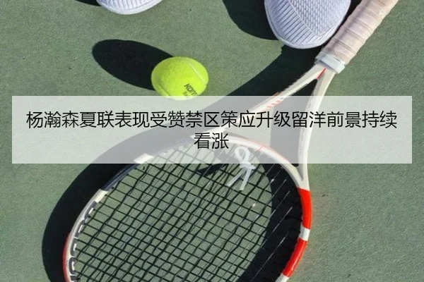 杨瀚森夏联表现受赞禁区策应升级留洋前景持续看涨
